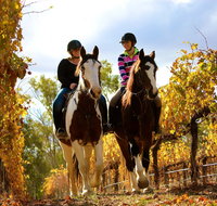 Billabong Ranch Adventure Park - Accommodation in Brisbane
