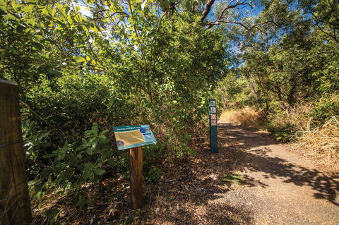 Bluff Point Circuit, Capricorn Coast National Park - Accommodation in Brisbane 1