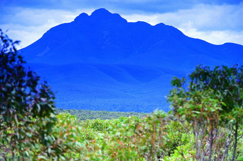 Borden - Accommodation in Brisbane 1