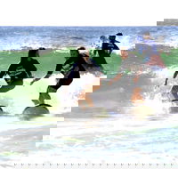 Broadbeach Surf School - Accommodation in Brisbane