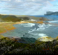 Bullimah Spur Track - Accommodation in Brisbane