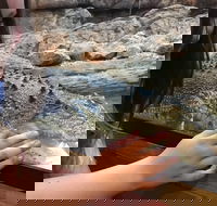 Canberra Reptile Zoo - Accommodation in Brisbane