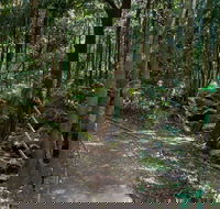 Cascades Walk - Accommodation in Brisbane