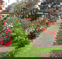 Cowra Rose Garden - Accommodation in Brisbane