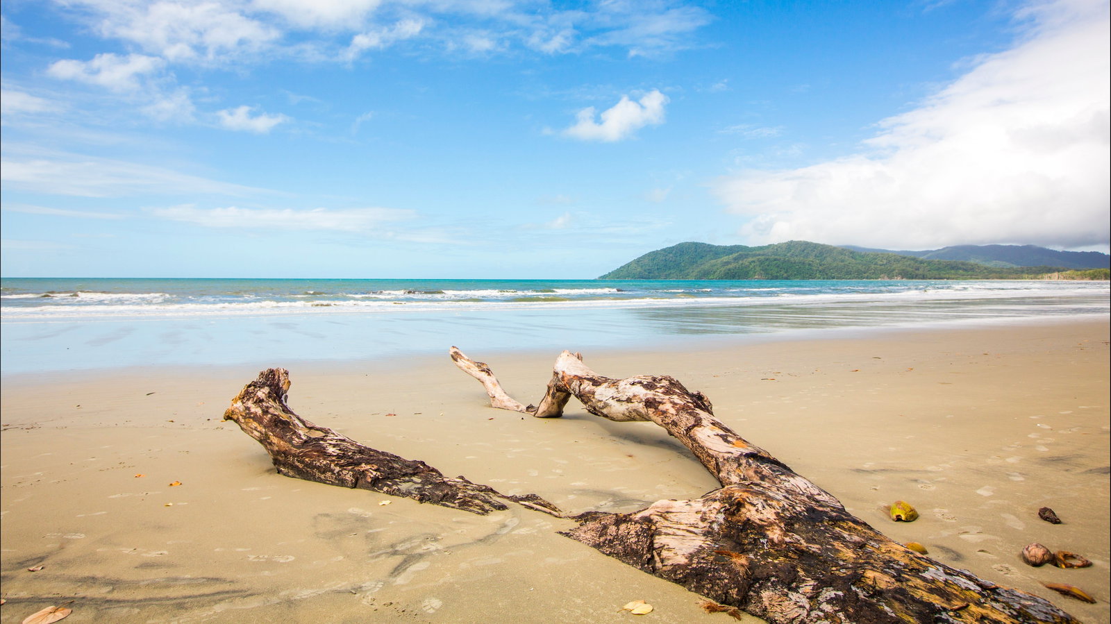 Cow Bay QLD Accommodation in Brisbane