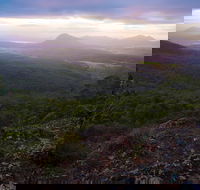Cunninghams Gap and Spicers Gap Main Range National Park - Accommodation in Brisbane