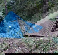 England Creek Bush Camp - Accommodation in Brisbane