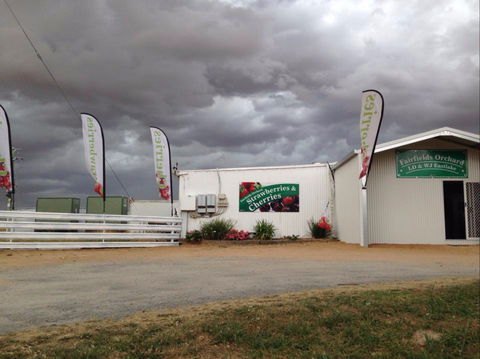 Fairfield Orchard - Accommodation in Brisbane 2