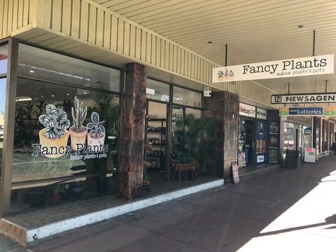 Fancy Plants - Accommodation in Brisbane 1
