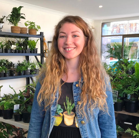 Fancy Plants - Accommodation in Brisbane 2