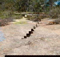 Finchley Cultural Walk - Accommodation in Brisbane