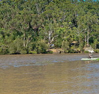 Fitzpatrick Park - Accommodation in Brisbane