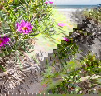 Fort Bribie - Accommodation in Brisbane