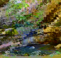 Glimpse of the Outback 5 Day Tour - Roma and Surrounds - Accommodation in Brisbane