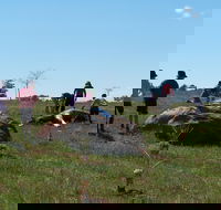 Jim Salmon  Wetland Education Site - Accommodation in Brisbane