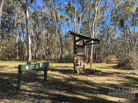 Kaiserstuhl Conservation Park - Accommodation in Brisbane 0