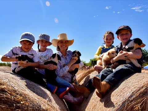 Katherine Outback Experience - Accommodation in Brisbane 1