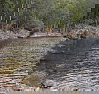 Lake Rowallan - Accommodation in Brisbane