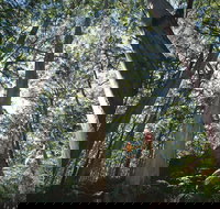 Leeuwin-Naturaliste National Park - Leeuwin - Accommodation in Brisbane