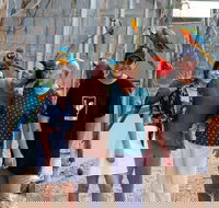 Maleny Botanic Gardens and Bird World - Accommodation in Brisbane