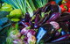 Murwillumbah Farmers' Market - thumb 1