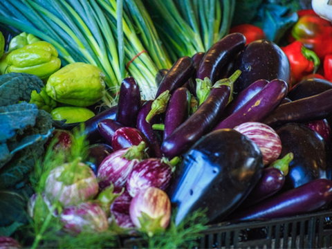Murwillumbah Farmers' Market - Accommodation in Brisbane 1