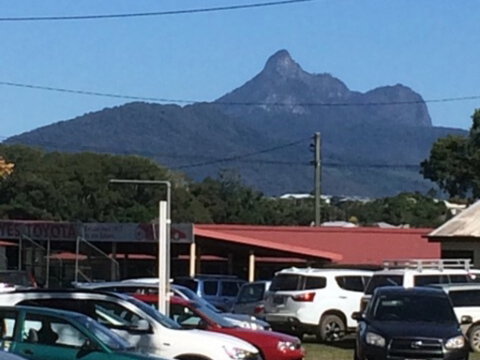 Murwillumbah Farmers' Market - Accommodation in Brisbane 2
