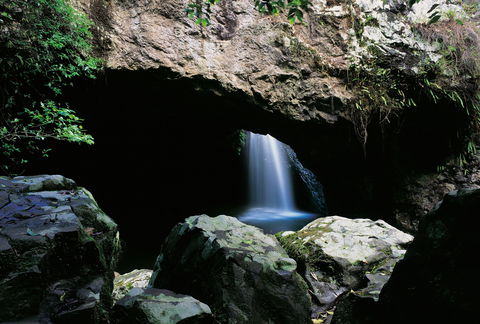 Natural Bridge Circuit, Springbrook National Park - Accommodation in Brisbane 0