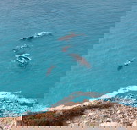 Nullarbor National Park - Accommodation in Brisbane
