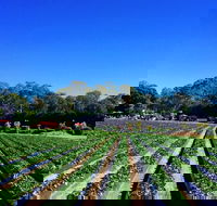 Palmview - Accommodation in Brisbane