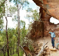 Pilliga Forest - Accommodation in Brisbane