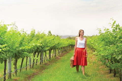 Swan Valley - Accommodation in Brisbane 0