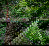 Thunderbird Park  - Tamborine Mountain Gold Coast Region - Accommodation in Brisbane