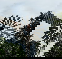 Tinaberries - Accommodation in Brisbane