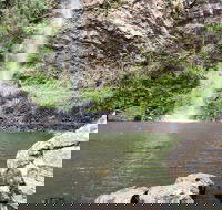 Twin Falls Circuit Springbrook National Park - Accommodation in Brisbane