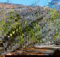 Weddin Gap to Black Spring Loop Trail - Accommodation in Brisbane