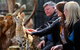 Werribee Open Range Zoo - thumb 0