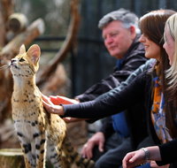 Werribee Open Range Zoo - Accommodation in Brisbane