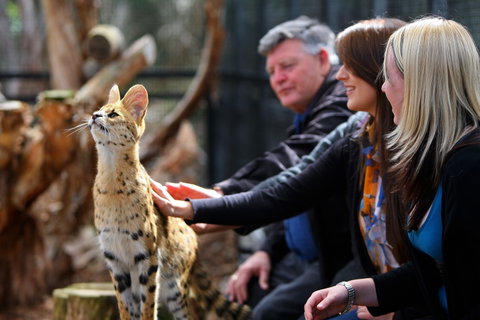 Werribee Open Range Zoo - Accommodation in Brisbane 0