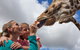 Werribee Open Range Zoo - thumb 2