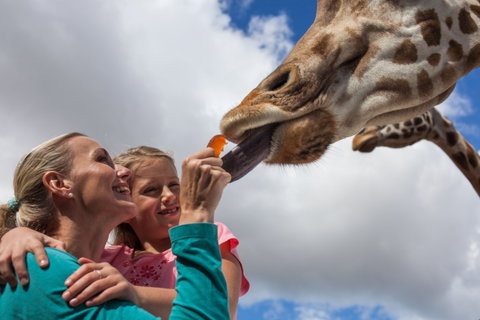 Werribee Open Range Zoo - Accommodation in Brisbane 2