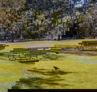 Wombeyan picnic area - Accommodation in Brisbane