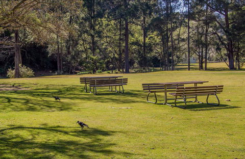 Wombeyan Picnic Area - Accommodation in Brisbane 0