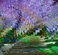 Alowyn Gardens and Nursery - Accommodation in Brisbane