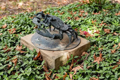 Antony Symons - Retrospective Of A Life's Work - Accommodation in Brisbane 0