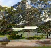 Back Creek picnic area - Accommodation in Brisbane