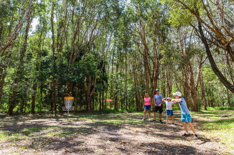 Ballina Disc Golf - Accommodation in Brisbane 0