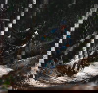 Boomerang Farm Bike Park - Accommodation in Brisbane