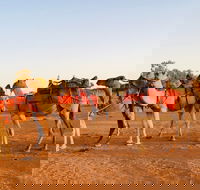 Broken Hill Camels - Accommodation in Brisbane