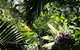 Byrrill Creek Walking Track - thumb 0